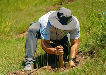 Banco Popular Dominicano emprende segunda jornada de reforestacin de 2024