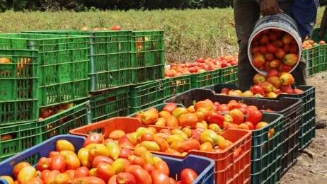 Nestl impulsa iniciativas para minimizar el desperdicio de alimentos en su cadena de valor