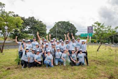 Hatillo renueva su paisaje urbano con la siembra de 600 nuevos rboles