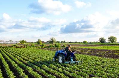 Impulsa FIFCO transformacin agrcola como respuesta al cambio climtico