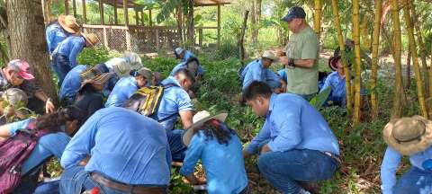 Impulsan produccin de cebolla, carne y lcteos en Honduras