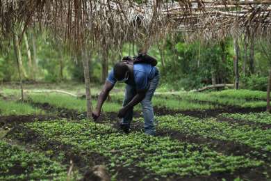 Ordenarn ingreso de personas trabajadoras migrantes en Costa Rica