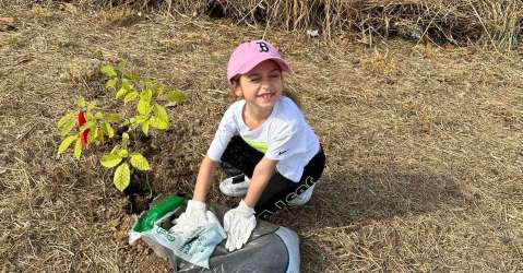 Cobre Panam inicia reforestacin en Va Panamericana y Metro Park