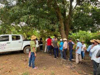 Captan mano de obra para la zafra azucarera 2023 en Panam