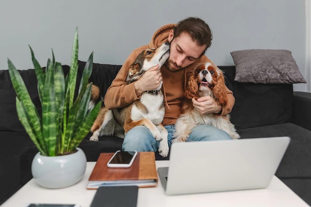 Mascotas en el trabajo? Conozca los beneficios de llevar perros a la oficina